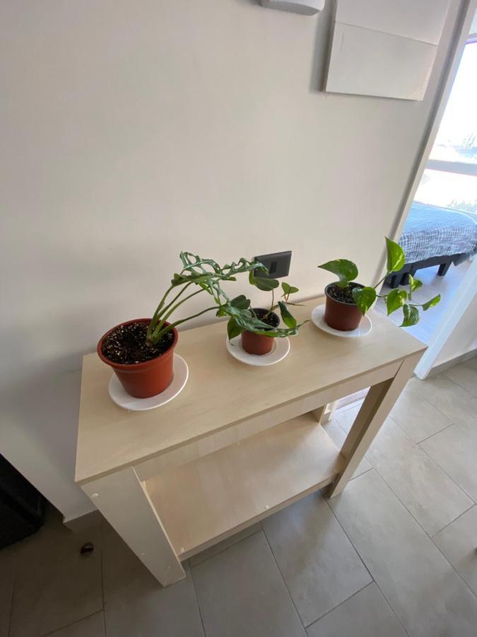 Departamento Central Валдивия Екстериор снимка